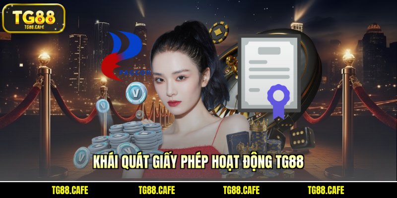 Khái quát giấy phép hoạt động TG88
