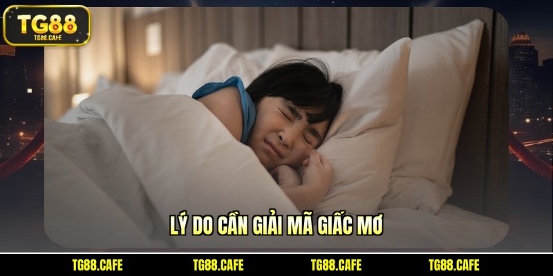 Lý do cần giải mã giấc mơ