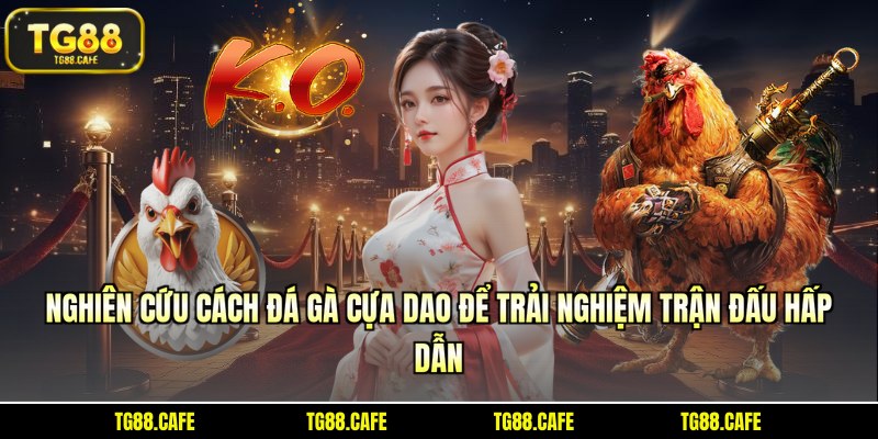 Nghiên cứu cách đá gà cựa dao để trải nghiệm trận đấu hấp dẫn