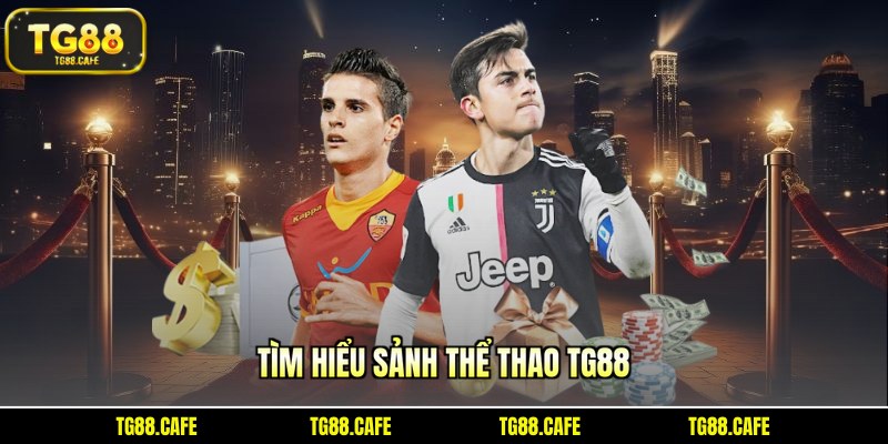 Tìm hiểu sảnh thể thao TG88