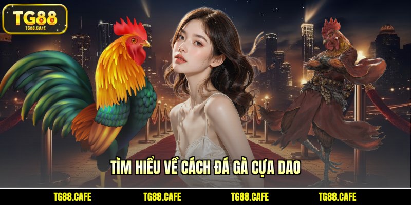 Tìm hiểu về cách đá gà cựa dao