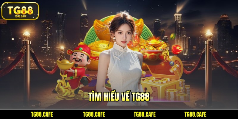 Tìm hiểu về TG88